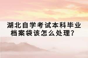 湖北自學考試本科畢業(yè)檔案袋該怎么處理？