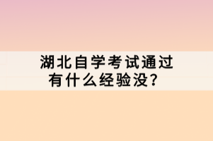 湖北自學(xué)考試通過(guò)有什么經(jīng)驗(yàn)沒(méi)？