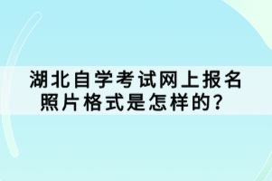 湖北自學(xué)考試網(wǎng)上報名照片格式是怎樣的？