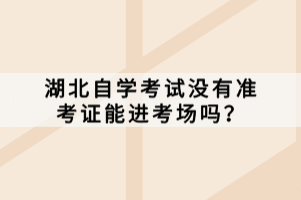 湖北自學(xué)考試沒有準(zhǔn)考證能進考場嗎？