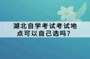 湖北自學(xué)考試考試地點可以自己選嗎？