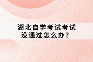 湖北自學(xué)考試考試沒(méi)通過(guò)怎么辦？