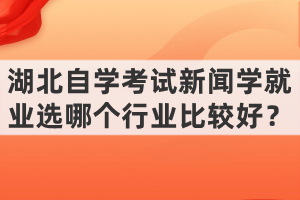湖北自學(xué)考試新聞學(xué)就業(yè)選哪個(gè)行業(yè)比較好？