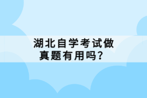 湖北自學(xué)考試做真題有用嗎？