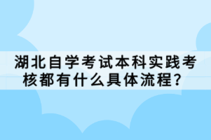 湖北自學(xué)考試本科實踐考核都有什么具體流程？
