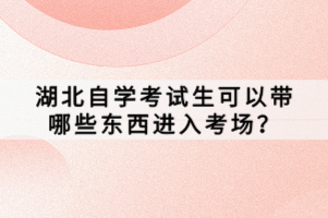 湖北自學(xué)考試生可以帶哪些東西進(jìn)入考場(chǎng)？