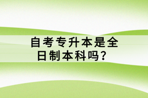 自考專升本是全日制本科嗎？