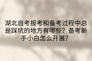 湖北自考報考和備考過程中總是踩坑的地方有哪些？備考新手小白怎么開展？