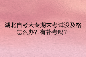 湖北自考大專(zhuān)期末考試沒(méi)及格怎么辦？有補(bǔ)考嗎？