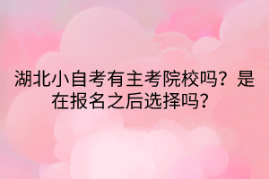 湖北小自考有主考院校嗎？是在報(bào)名之后選擇嗎？