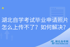 湖北自學(xué)考試畢業(yè)申請(qǐng)照片怎么上傳不了？如何解決？