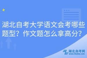 湖北自考大學語文會考哪些題型？作文題怎么拿高分？