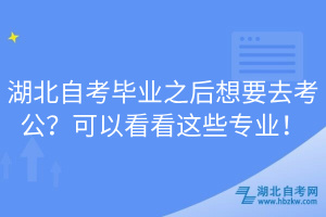湖北自考畢業(yè)之后想要去考公？可以看看這些專業(yè)！