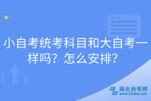 小自考統(tǒng)考科目和大自考一樣嗎？怎么安排？