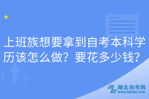 上班族想要拿到自考本科學歷該怎么做？要花多少錢？