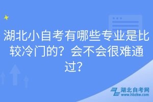 湖北小自考有哪些專業(yè)是比較冷門的？會不會很難通過？