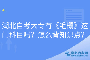 湖北自考大專有《毛概》這門科目嗎？怎么背知識點？