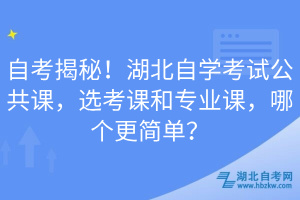 自考揭秘！湖北自學考試公共課，選考課和專業(yè)課，哪個更簡單？