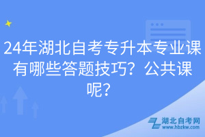 24年湖北自考專升本專業(yè)課有哪些答題技巧？公共課呢？