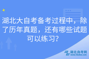 湖北大自考備考過程中，除了歷年真題，還有哪些試題可以練習(xí)？