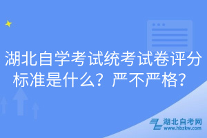 湖北自學考試統(tǒng)考試卷評分標準是什么？嚴不嚴格？