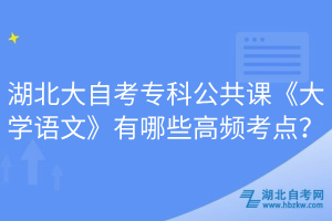 湖北大自考?？乒舱n《大學(xué)語(yǔ)文》有哪些高頻考點(diǎn)？