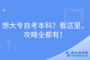 想大專自考本科？看這里，攻略全都有！
