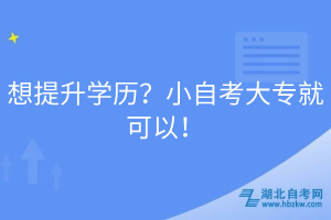 想提升學(xué)歷？小自考大專就可以！