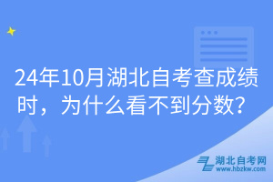 24年10月湖北自考查成績時，為什么看不到分?jǐn)?shù)？