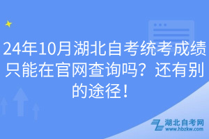 24年10月湖北自考統(tǒng)考成績(jī)只能在官網(wǎng)查詢(xún)嗎？還有別的途徑！