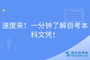 速度來(lái)！一分鐘了解自考本科文憑！