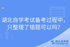 湖北自學(xué)考試備考過(guò)程中，只整理了錯(cuò)題可以嗎？
