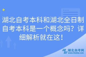 湖北自考本科和湖北全日制自考本科是一個概念嗎？詳細解析就在這！