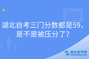 湖北自考三門分?jǐn)?shù)都是59，是不是被壓分了？