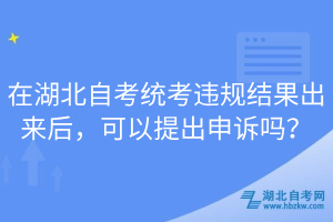 在湖北自考統(tǒng)考違規(guī)結(jié)果出來后，可以提出申訴嗎？
