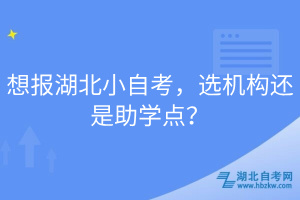 想報湖北小自考，選機構(gòu)還是助學(xué)點？