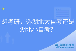 想考研，選湖北大自考還是湖北小自考？