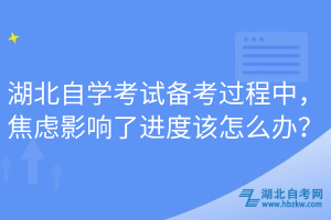 湖北自學考試備考過程中，焦慮影響了進度該怎么辦？