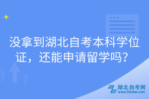 沒拿到湖北自考本科學位證，還能申請留學嗎？