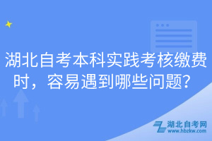 湖北自考本科實踐考核繳費時，容易遇到哪些問題？