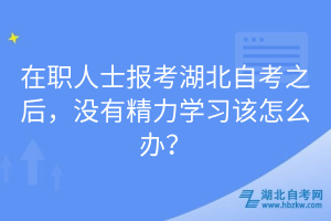 在職人士報考湖北自考之后，沒有精力學(xué)習(xí)該怎么辦？