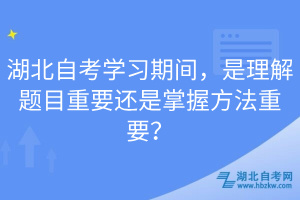 湖北自考學(xué)習(xí)期間，是理解題目重要還是掌握方法重要？