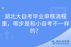 湖北大自考畢業(yè)審核流程里，哪步是和小自考不一樣的？