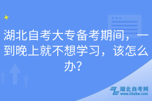 湖北自考大專備考期間，一到晚上就不想學(xué)習(xí)，該怎么辦？