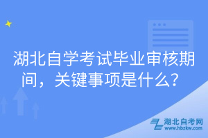 湖北自學(xué)考試畢業(yè)審核期間，關(guān)鍵事項(xiàng)是什么？