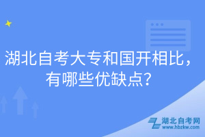 湖北自考大專和國開相比，有哪些優(yōu)缺點？