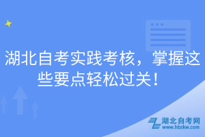 湖北自考實踐考核，掌握這些要點輕松過關！