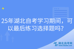 25年湖北自考學習期間，可以最后練習選擇題嗎？