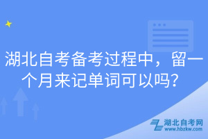 湖北自考備考過程中，留一個月來記單詞可以嗎？
