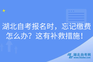 湖北自考報(bào)名時(shí)，忘記繳費(fèi)怎么辦？這有補(bǔ)救措施！